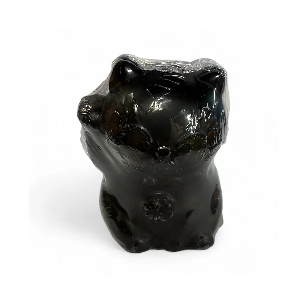 Homies Skate Wax Cat