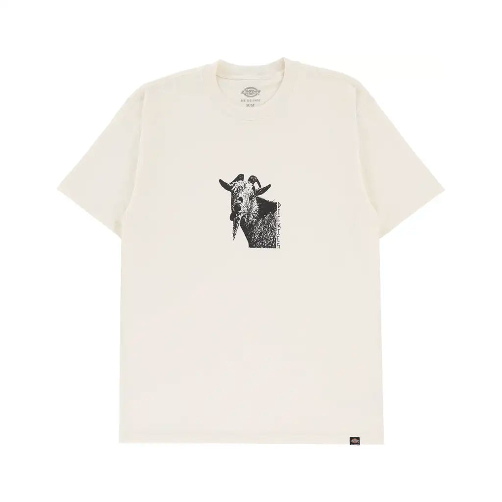 Dickies Mike Anderson T-Shirt White