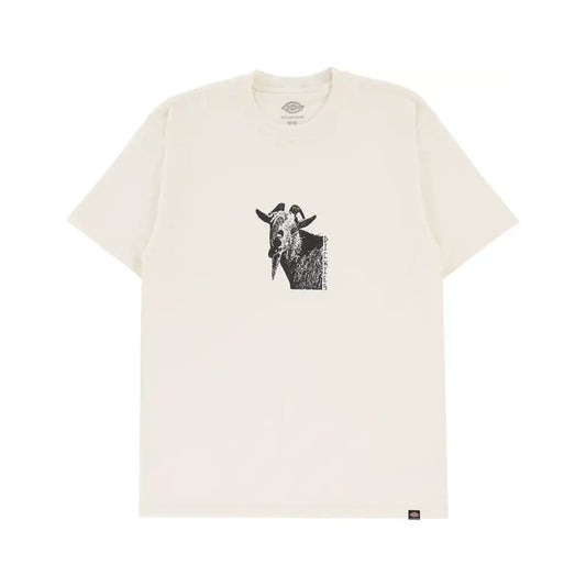 Dickies Mike Anderson T-Shirt White