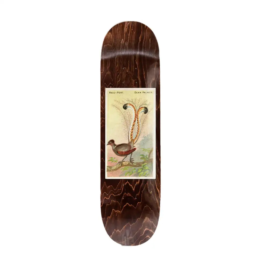 Passport Dean Palmer Lyrebird Skateboard Deck 8.0